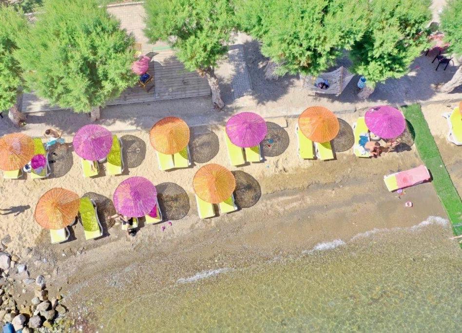 Yilmaz Hotel Ortakent Zewnętrze zdjęcie