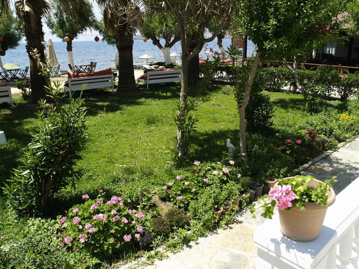 Yilmaz Hotel Ortakent Zewnętrze zdjęcie