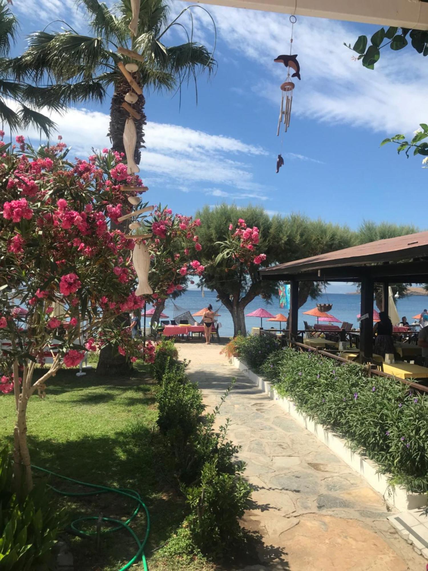 Yilmaz Hotel Ortakent Zewnętrze zdjęcie