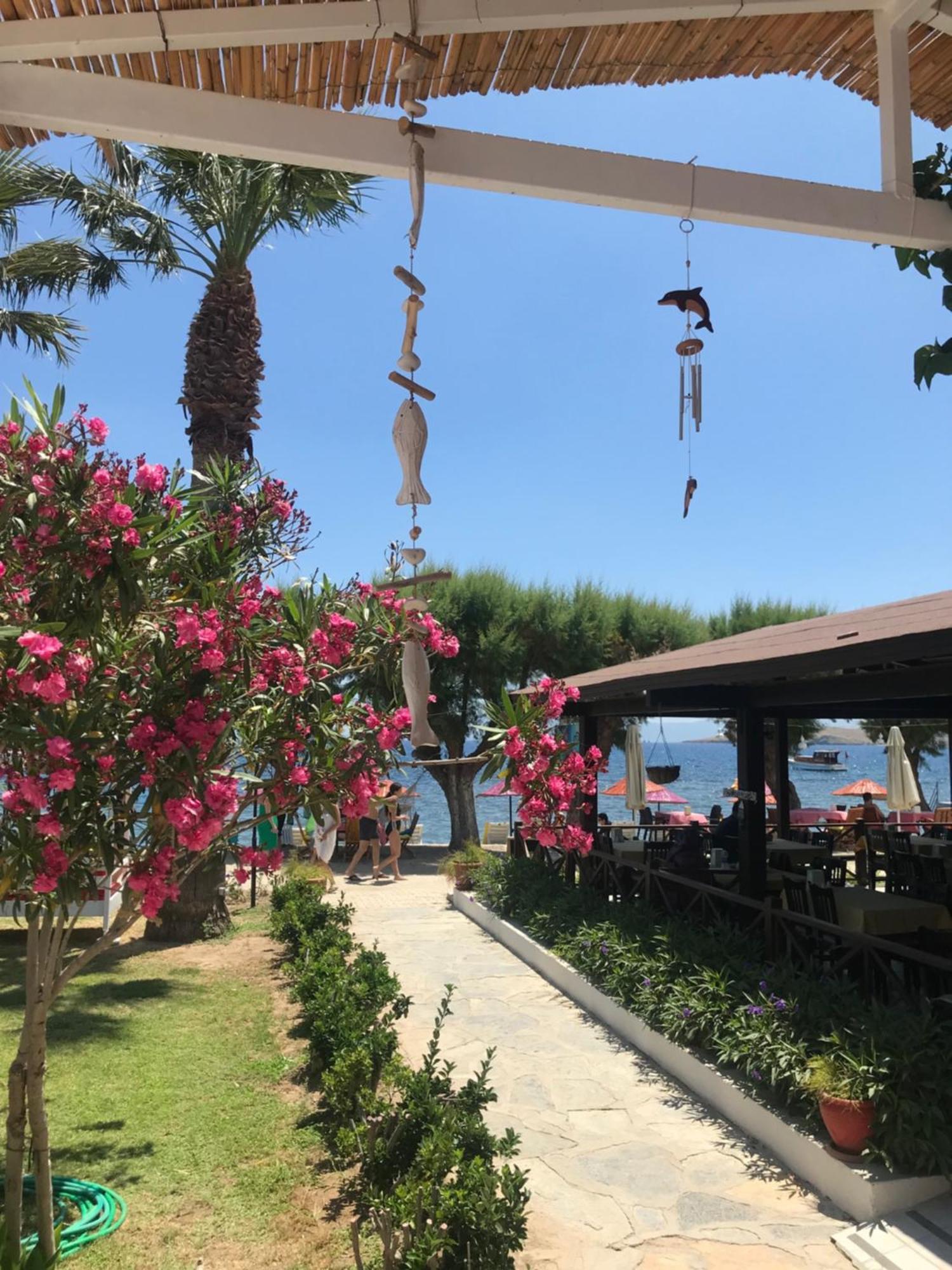 Yilmaz Hotel Ortakent Zewnętrze zdjęcie