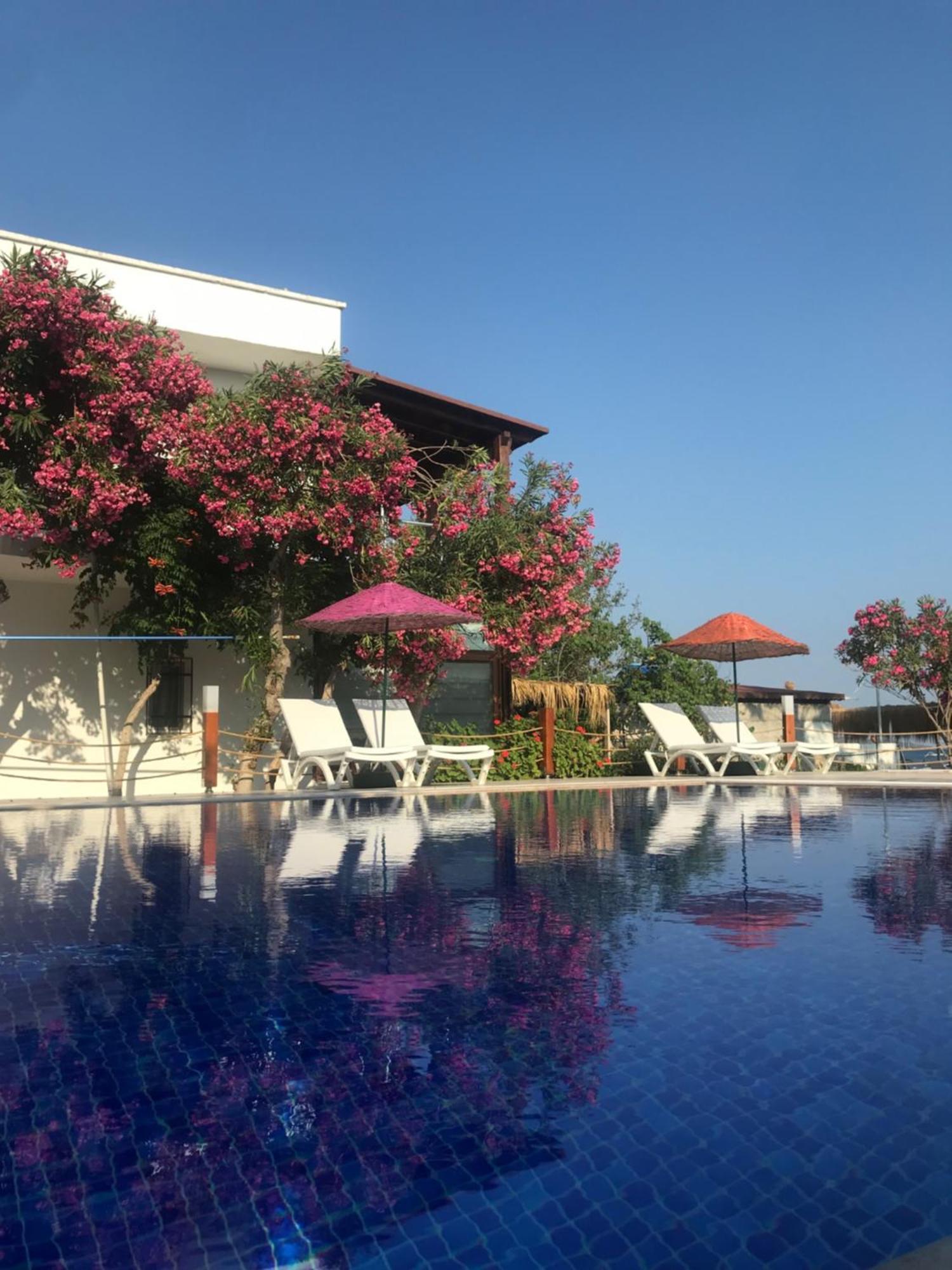 Yilmaz Hotel Ortakent Zewnętrze zdjęcie