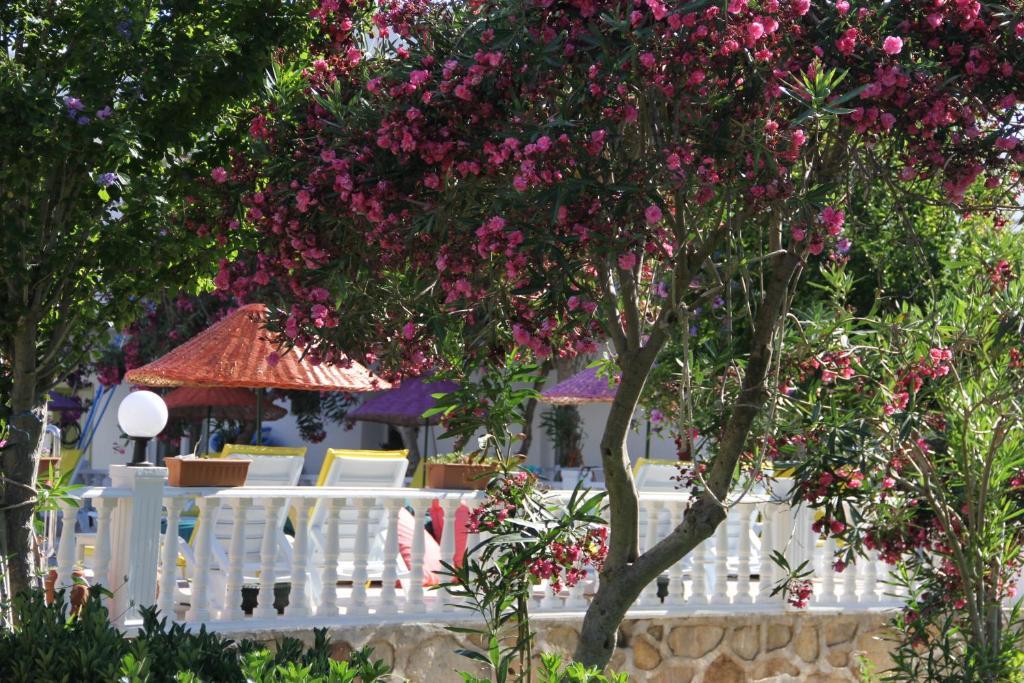Yilmaz Hotel Ortakent Zewnętrze zdjęcie